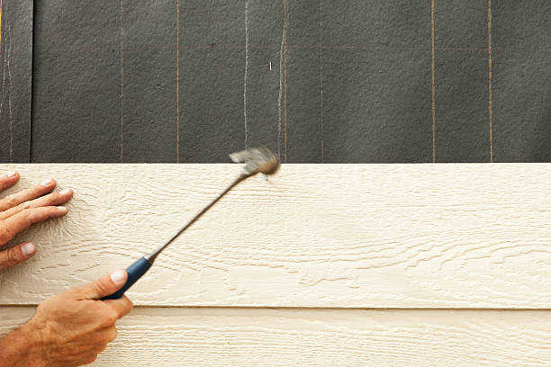 Best Insulated Siding Installation  in India Hook, SC
